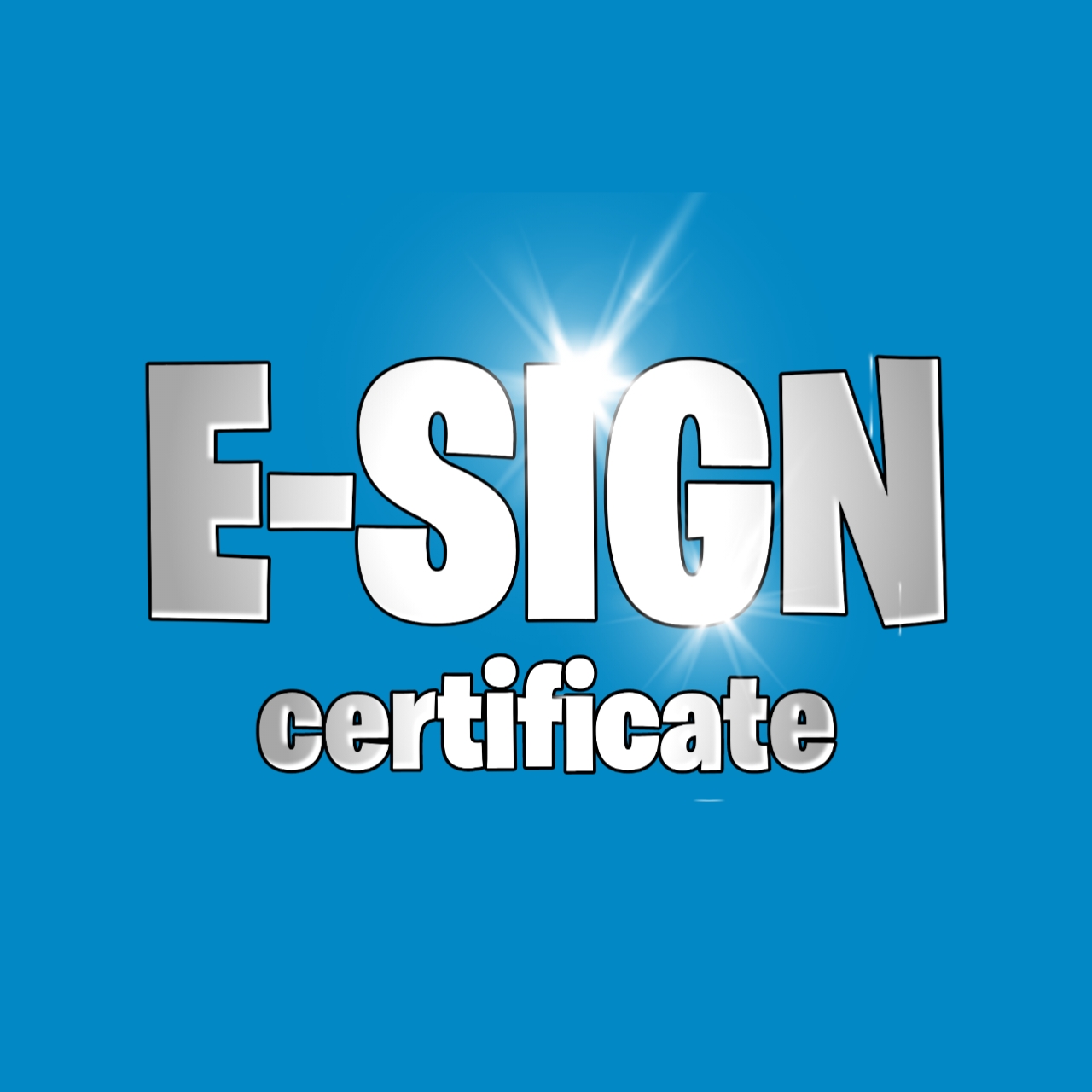 E•SIGN-1 YEAR